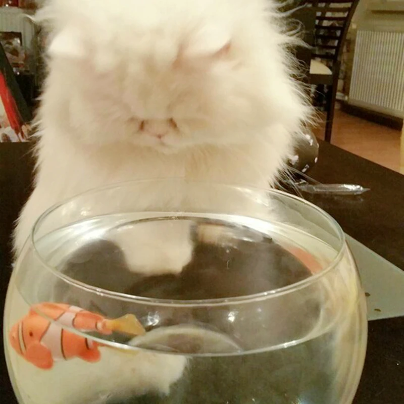 

Battery-Powered Fish, Cat Toy Cat Fish
