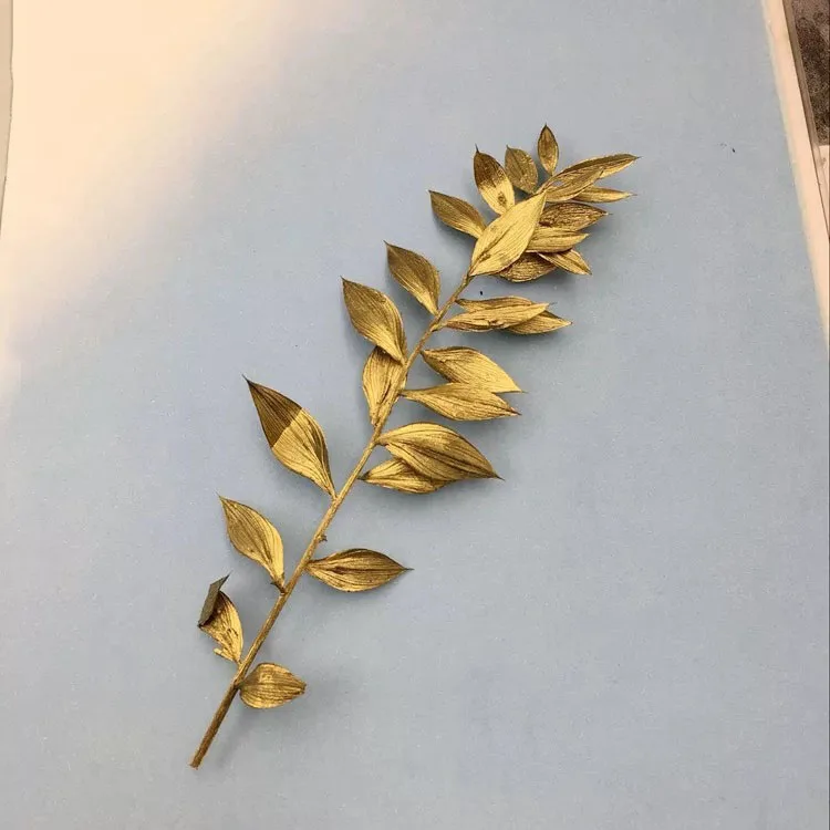

Preserved Fresh Flower DIY Material Package Imported Rich Leaves Small Pointed Leaves White Matching Material Valentine's Day
