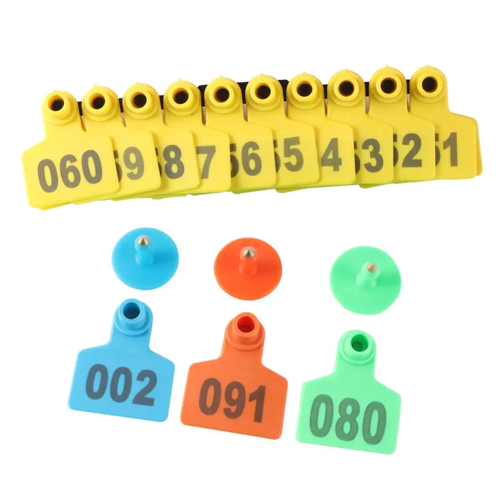 Три варианта цвета лазера со словом свиньи вывески для ушей рогатый скот овцы