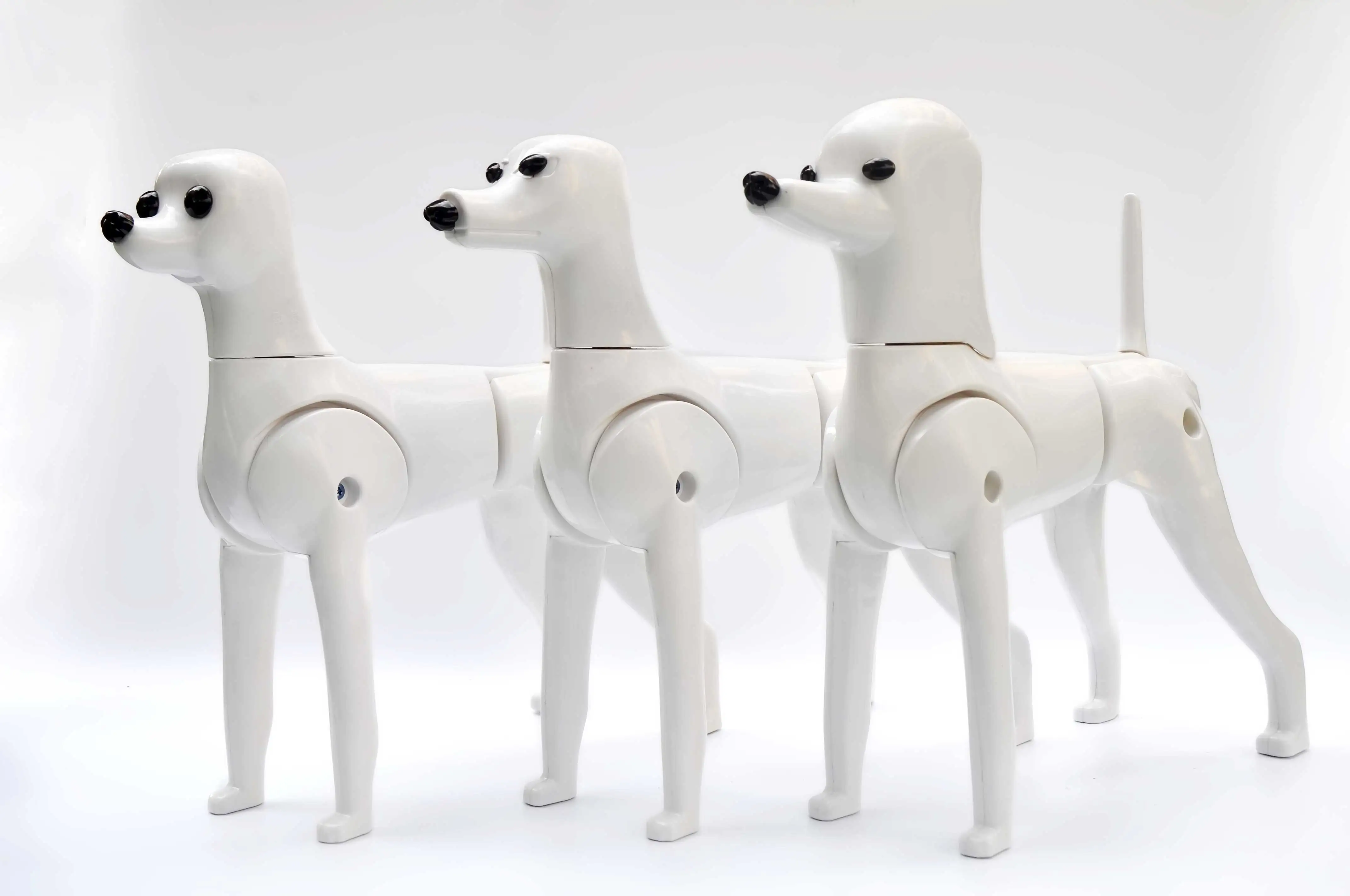 Multifunction Grooming Model Dog Mannequin Display Plastic Skeleton For Pet Groomer 1 Body 3 changeable Head | Дом и сад