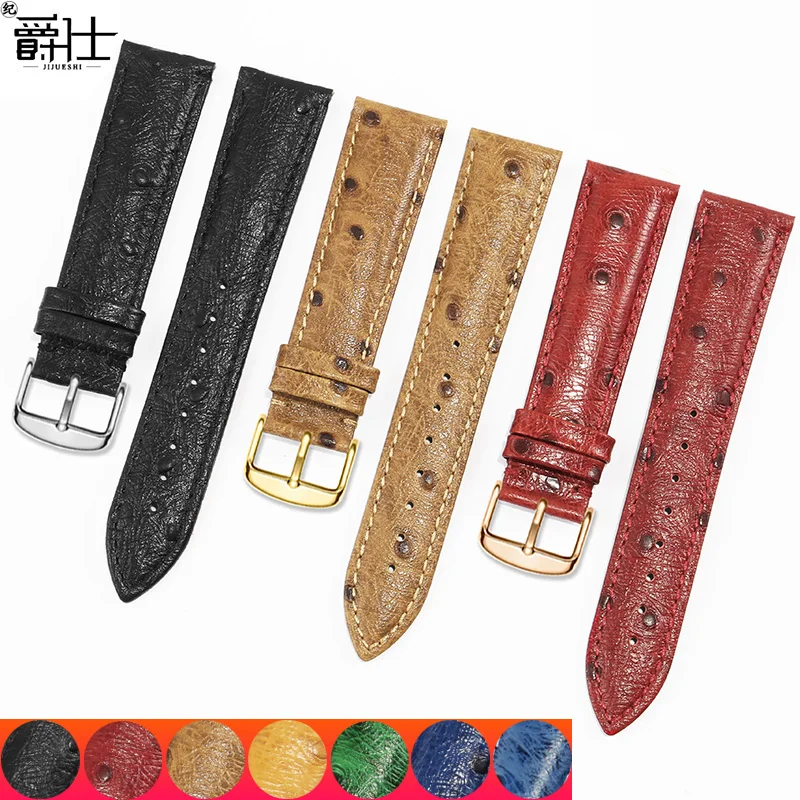 Ostrich Pattern Leather Watchband 12 13 14 15 16 17 18 19 20 21 22 23 24mm Black Blue Red Bracelet For Men And Women Watch Chain