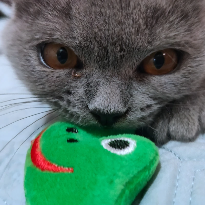 Новая игрушка С Кошачьей Мятой Huggie the grey Mouse забавная для кошек с настоящей внутри