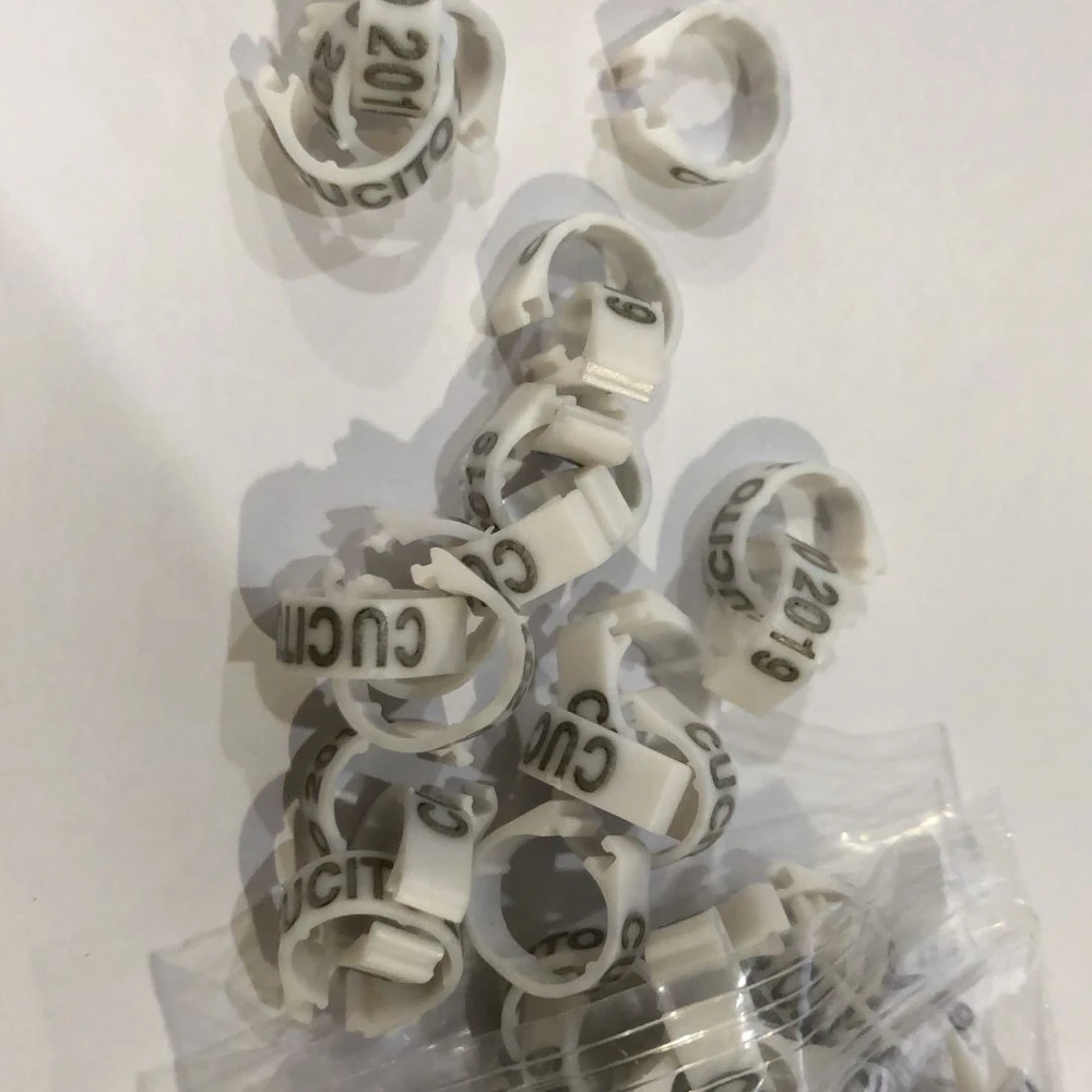 200 шт./лот Бесплатная доставка кольца для ног голубей 2021 кольцо с именем | Дом и сад