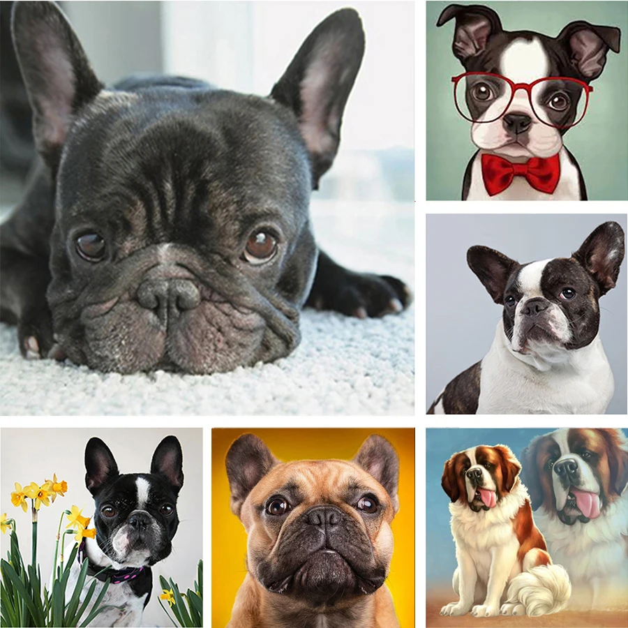 

Алмазная живопись, полноразмерная/круглая вышивка, распродажа, французский бульдог, 5D алмазная живопись, вышивка крестиком, кристальная мо...