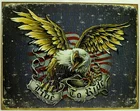 Live To Ride американский Орел металлический знак флаг для мотоцикла Repro винтажный жестяной Новый США, 8x12 дюймов