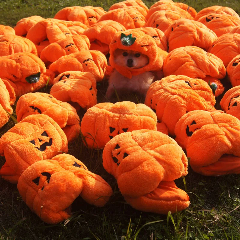 Забавная Одежда для собак одежда Хэллоуина Рождественская вечеринка