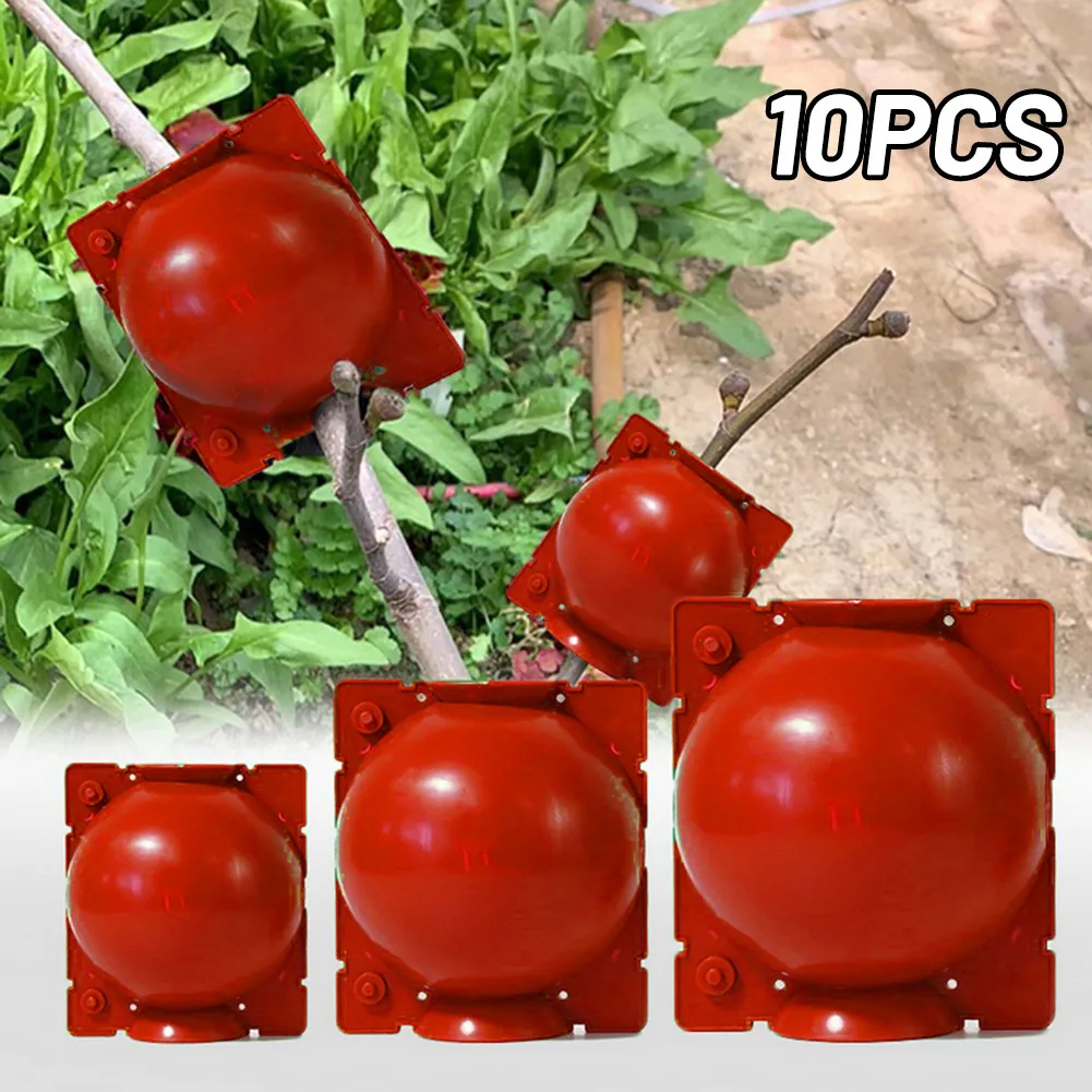 

Box Grafting Box Growing High Pressure Plant Plants Plastic Propagation