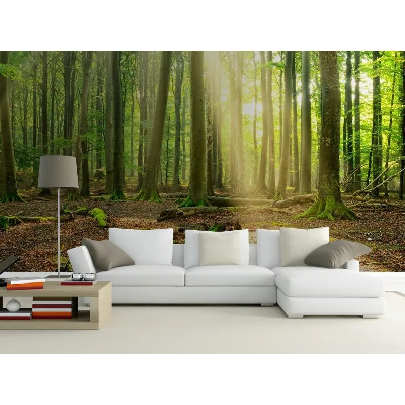 Изготовленные на заказ с художественной фотографией обои солнце лес