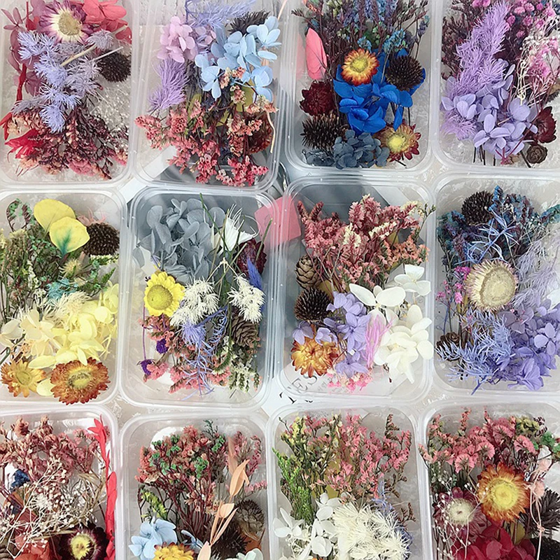 

1 Box Epoxy Resin Pendant Necklace Jewelry Making Craft DIY Accessories Dried Flower Dry Plants For Aromatherapy Candle