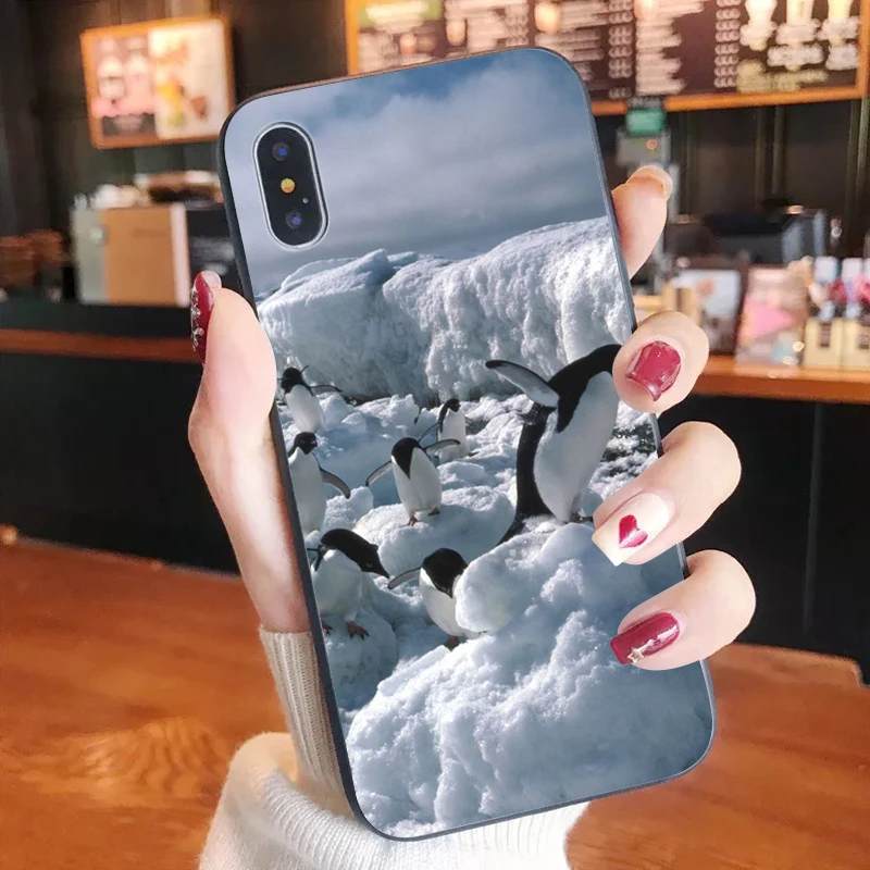 

Lovely Penguin Soft tpu Phone Cover for iPhone X XSMAX 6 6S 7 7plus 8 8Plus XR SE2020 12pro 12mini 11promax