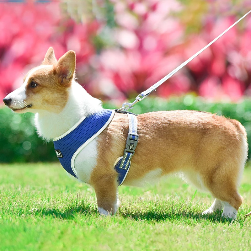 

Pet Chest Harness Reflective Cat Collar Training Collar Harness Small Puppy Adjustable Dogs Leads Chest Straps Pets Accessories