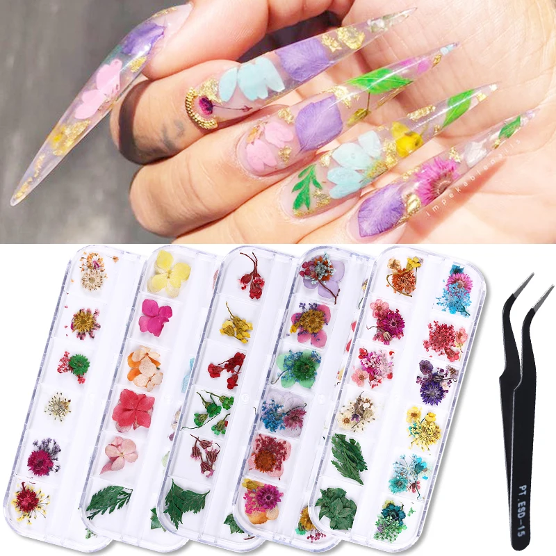1 коробка цветной высушенный цветок для ногтей художественные украшения