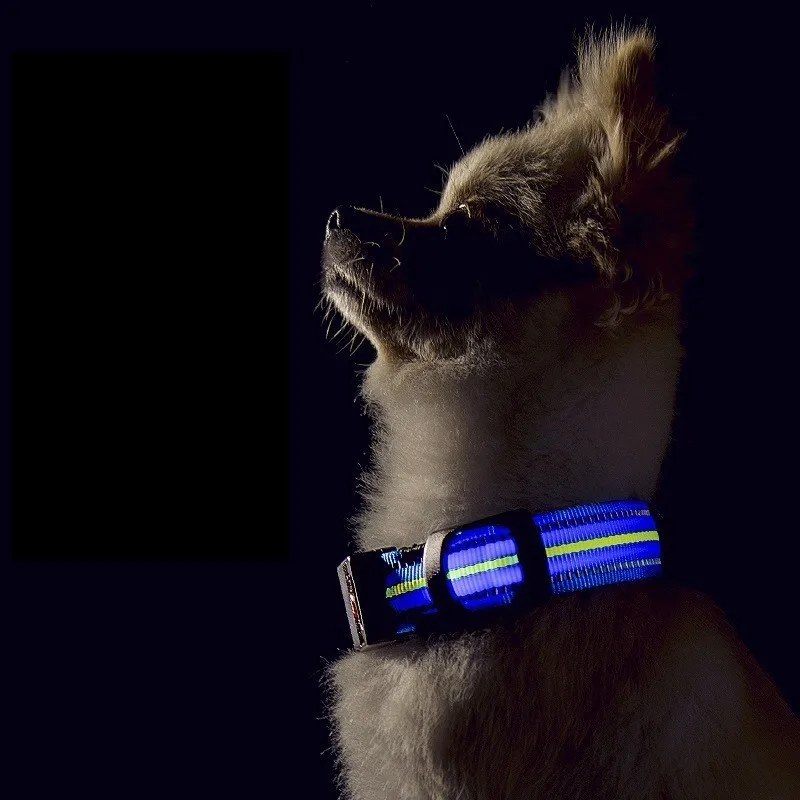 Benepaw удобный Перезаряжаемый USB светящийся светодиодный ошейник для Собак прочный водонепроницаемый светящийся ошейник для маленьких и больших собак 3 режима работы светильник