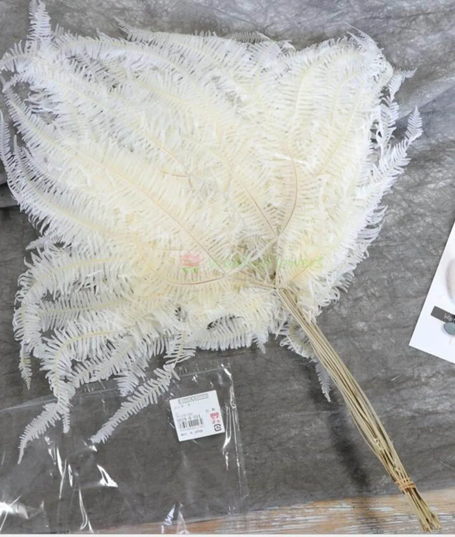 10 шт. сушеный папоротник лист листья цветок для букета венка гирлянда материал