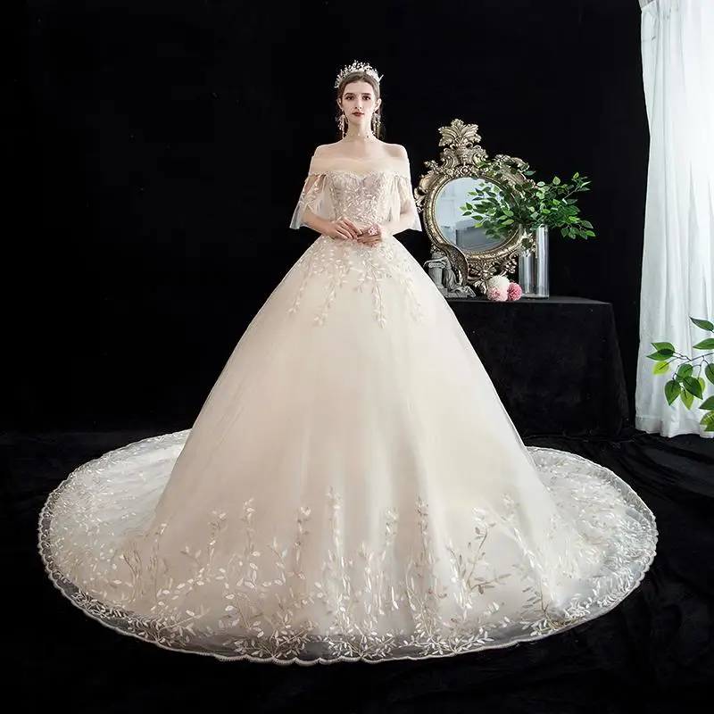 Wedding Dress Short Sleeve Boat Neck Light Champagne Lace Up Ball Gown Princess Luxury Lace Wedding Dresses Plus Size - Цвет: champagne with train