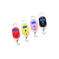 25kg x 10g cute mini digital scale for fishing luggage travel weighting keychain portable hanging electronic hook kitchen tool
