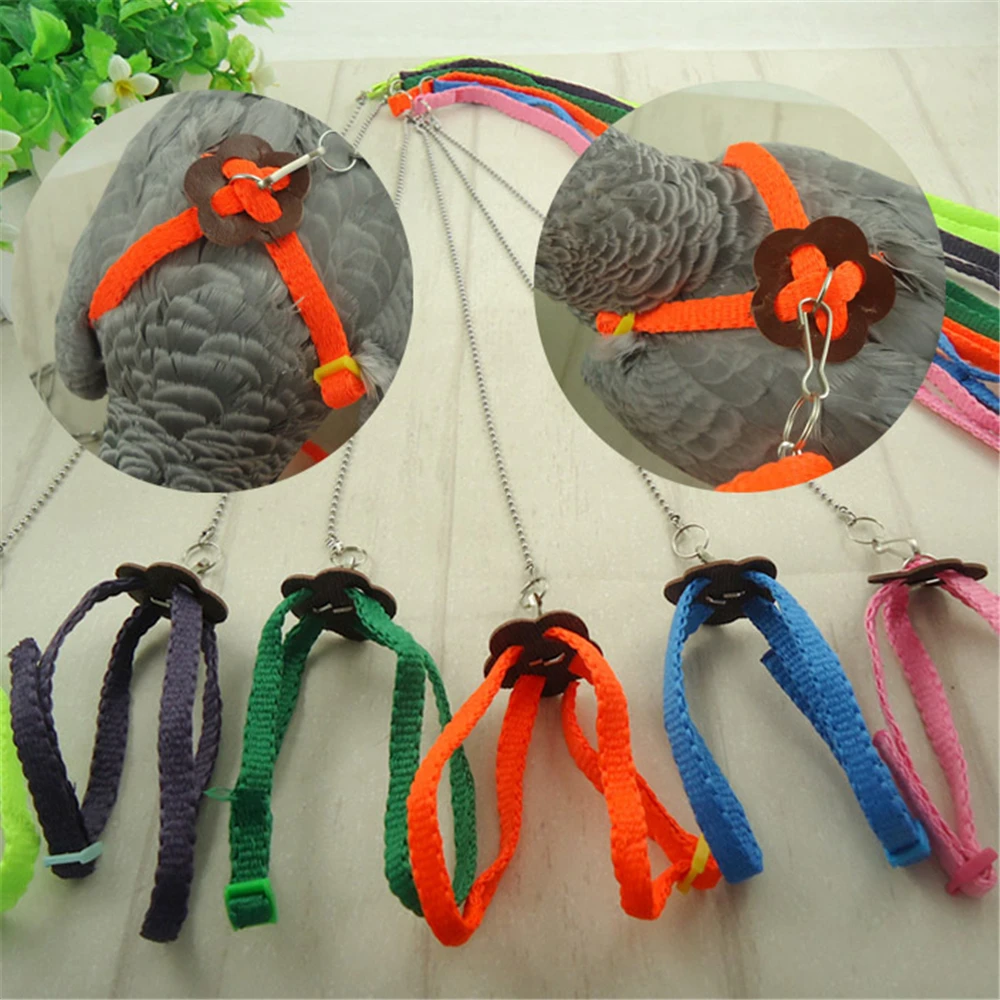 

1.2m Little Pet Bird Outdoor Fly Training Traction Rope Collar Chain