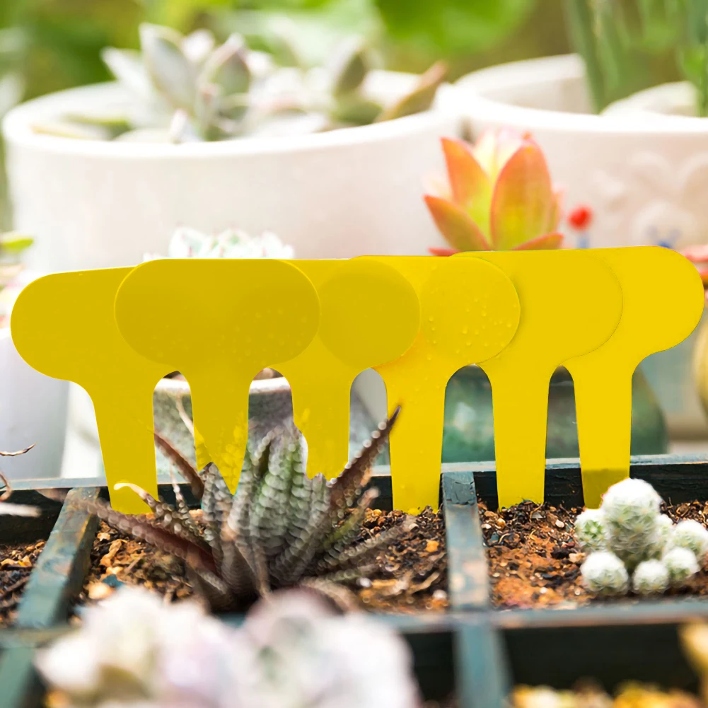 

Garden Labels 100 Pcs Gardening Plant Classification Sorting Sign Tag Ticket Plastic Writing Plate Board Plugcard Plant Markers