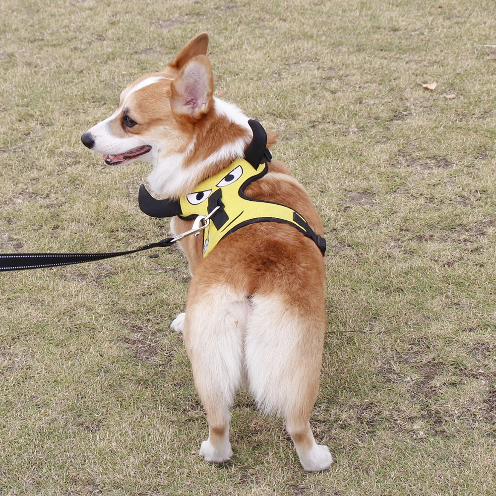 

Pet Vest Adjustable Dog Harness Dog Chest Strap Vest For Small Medium Large Dogs Outdoor Training Protective Dog Harness