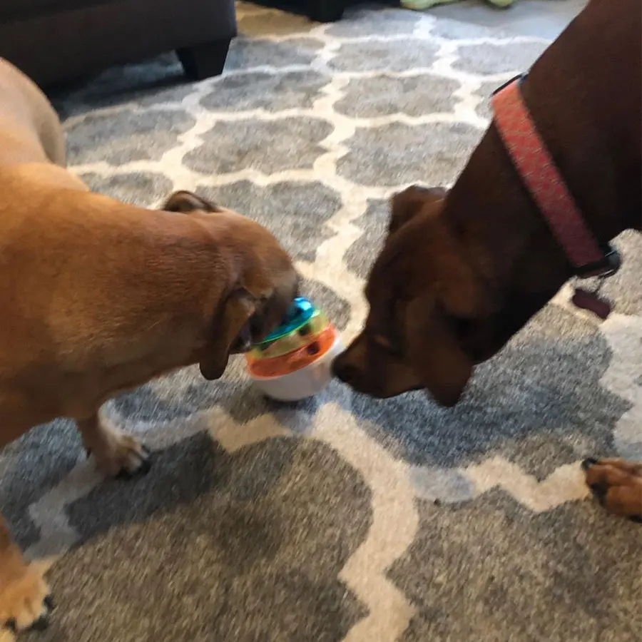 

Interactive Dog Toys Tumbler Leakage Food Dispenser Increases IQ Mental Stimulation for Puppy Cat Toy Pet products