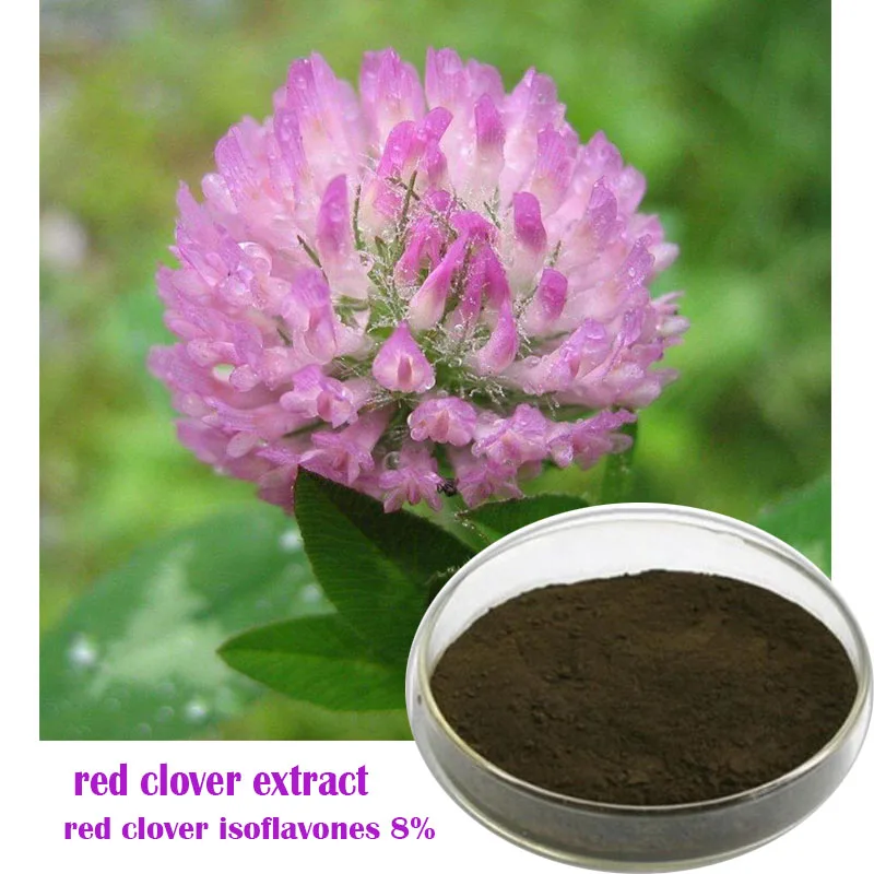 1000g red clover isoflavones 8% antioxidant, relieves menopause in women