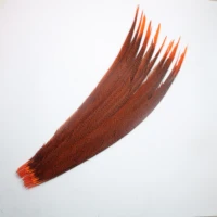 100pcslot orange lady amherst pheasant tail feathers for crafts 24 28inch60 70cm carnival party diy decoration plume