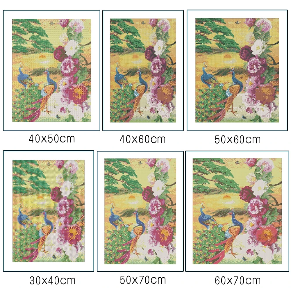 

5D