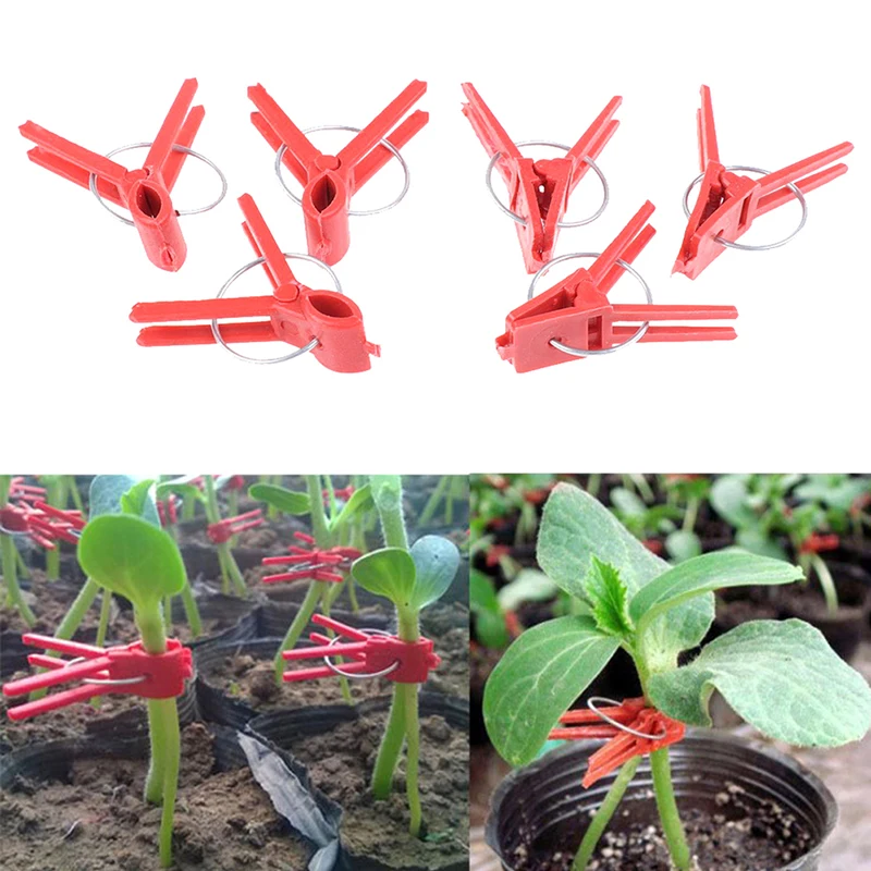 Новый 50 шт. Пластик прививки прививочный зажим садовое растение Поддержка для