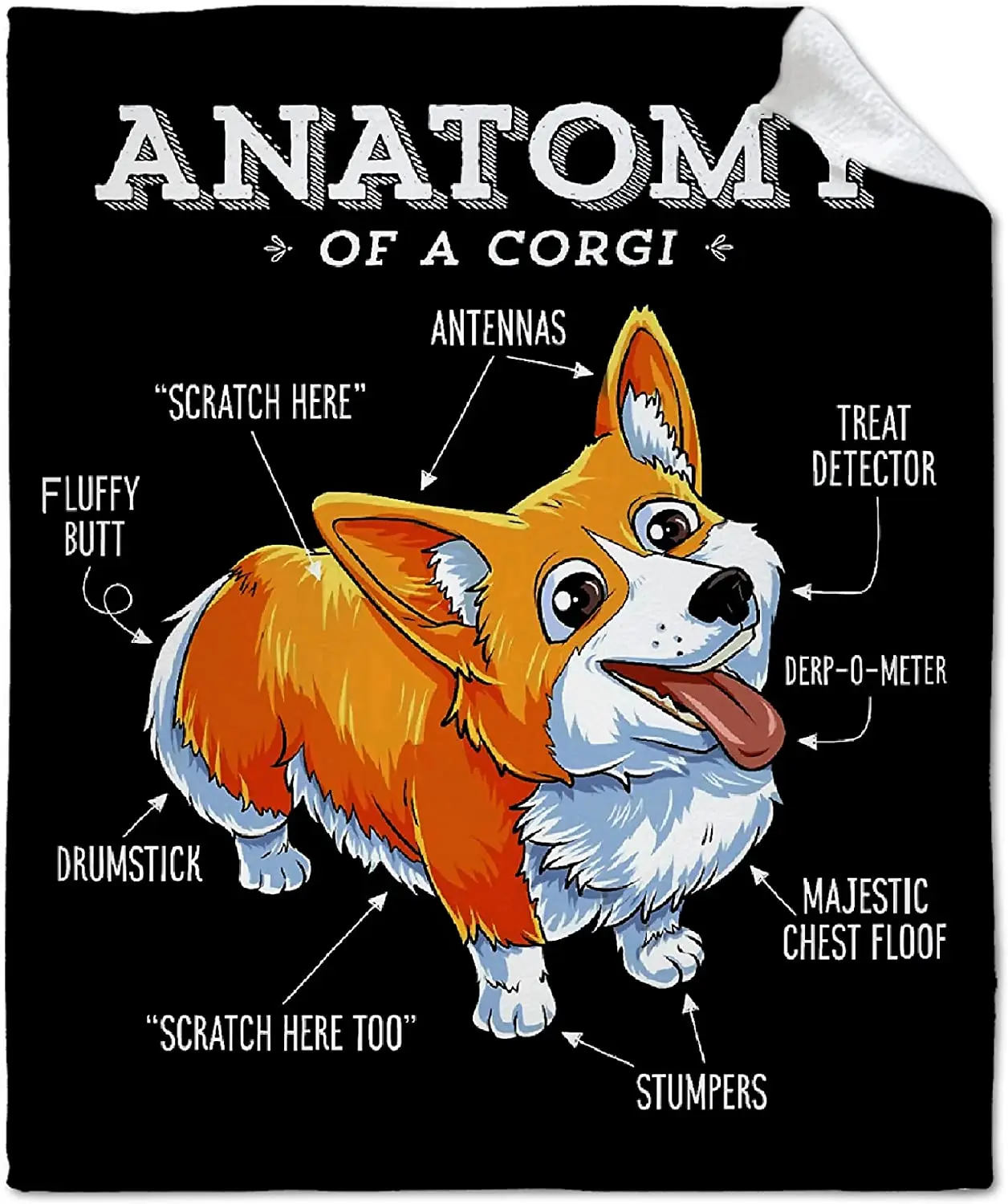 

Anatomy of A Corgi Blanket Throw, Educational Learning Blanket, Perfect Gift, Super Soft Funny Animal Lover Blanket for Sofa Bed