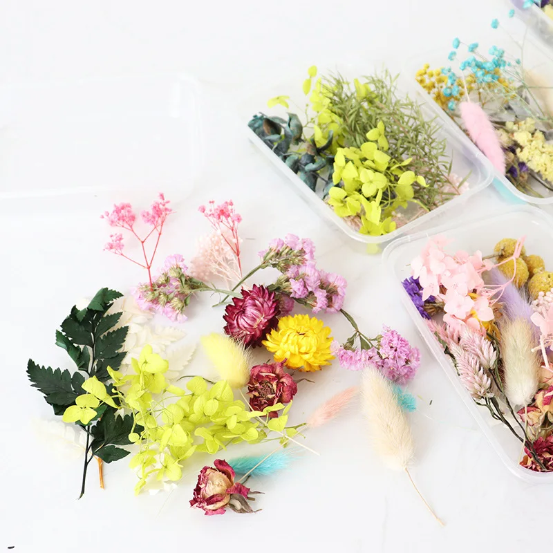 Случайные стили вечный цветок сушенный цветочный материал Сделай Сам Бао цветы