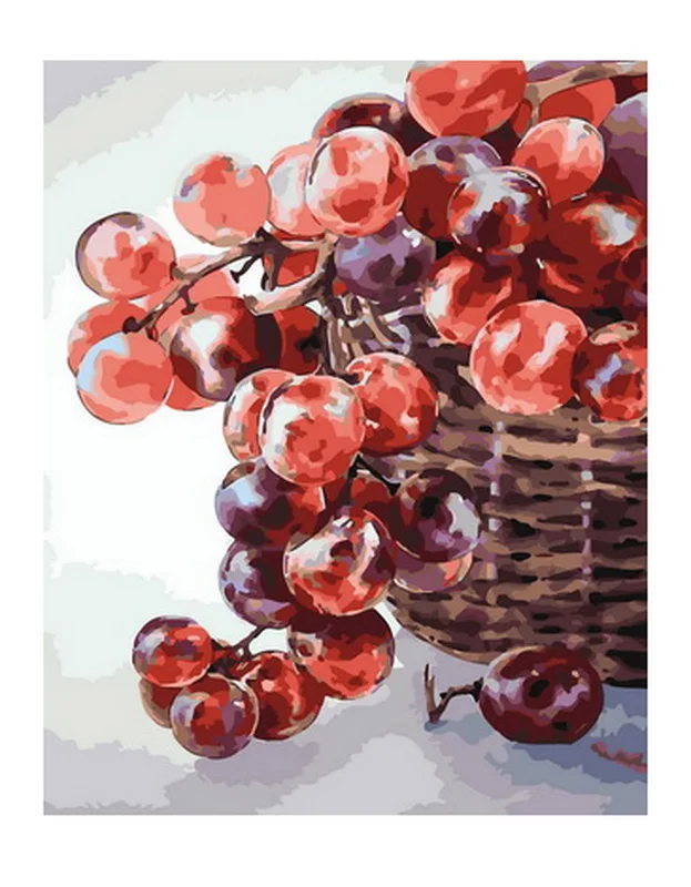 

Frameless diy painting by numbers picture by numbers for home decor still life painting 4050cm Grape