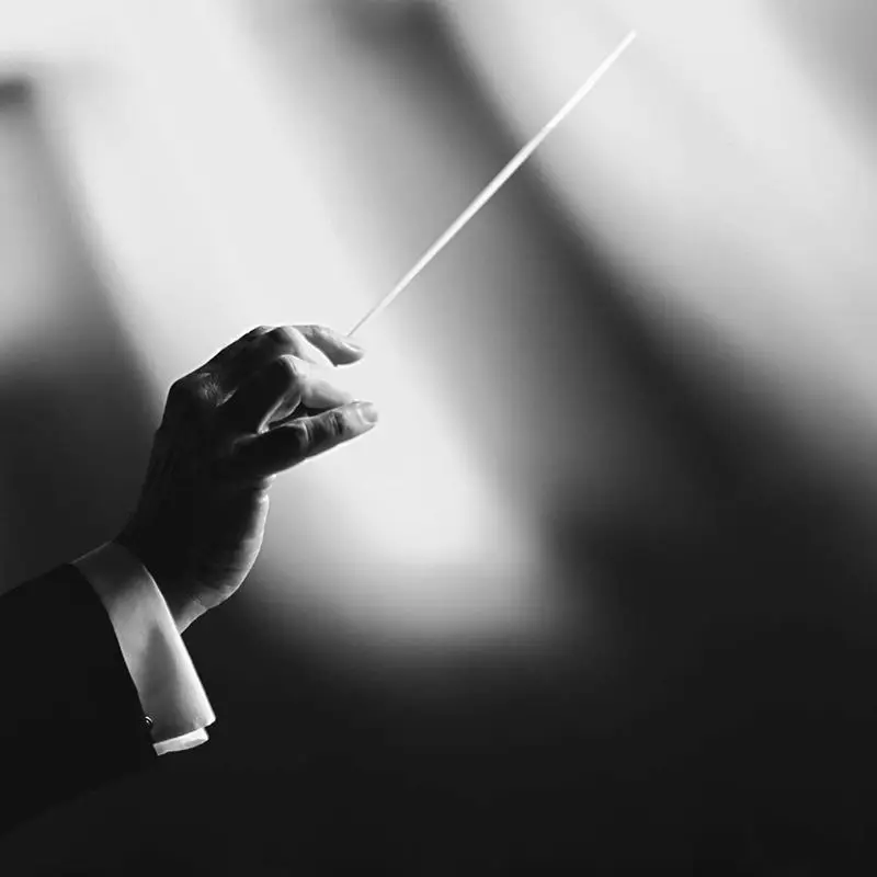 

Music Conductor Batons,Imitation Agate Handle Orchestra Conducting Baton Music Batons (Black)