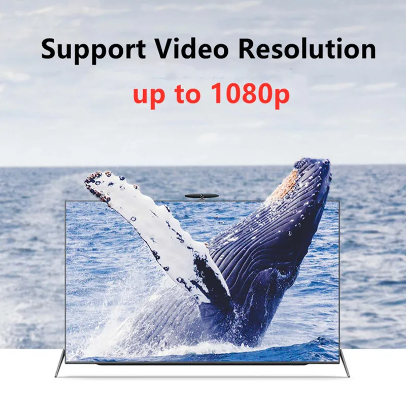 Veggieg 1080P DisplayPort для VGA адаптер DP папа-VGA Женский дисплея конвертер ТВ-проектор Macbook