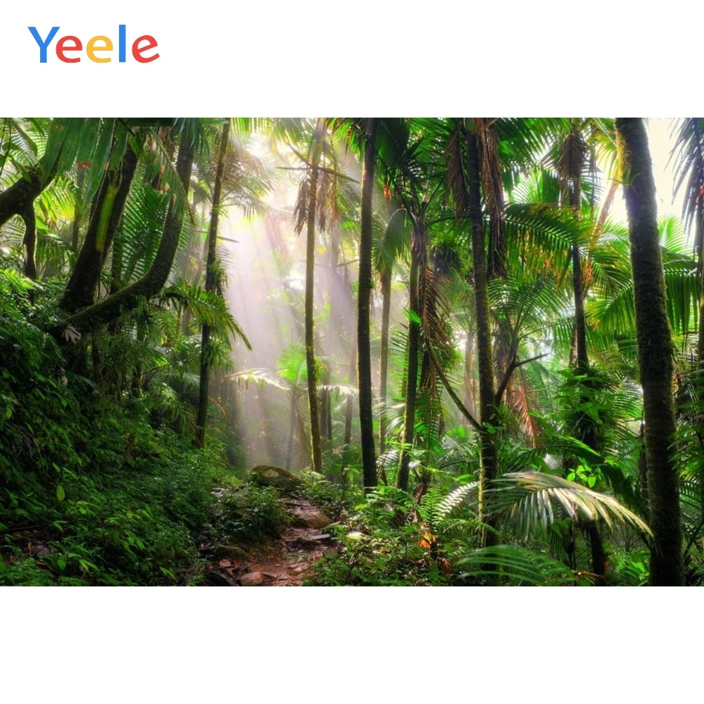 

Palm Tree Forest Backdrop Green Screen Newborn Baby Shower Kids Birthday Party Portrait Photography Background For Photo Studio