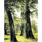 Картина по номерам сделай сам, Прямая поставка, 50x65, 60x75 см, гигантские деревья, лесной пейзаж, холст, свадебное украшение, художественная картина, подарок