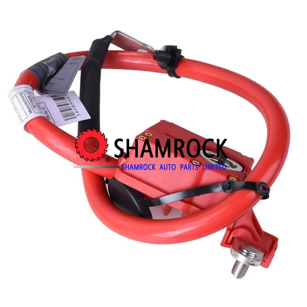 

Positive Battery Cable SRS OEM 61129225099/6112 9225 099 for 2011-2014 BBMW X3