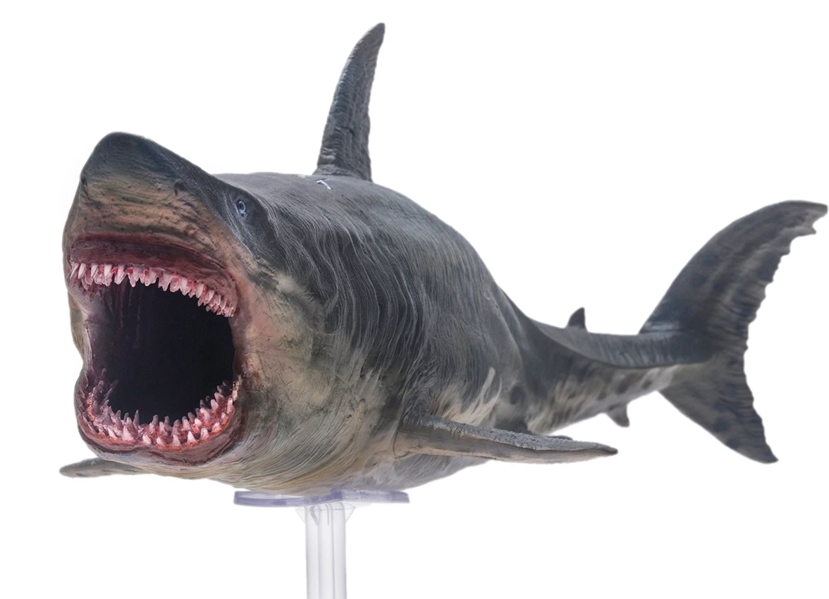 PNSO доисторические модели животных: Patton The Megalodon (большая белая акула) 13 &quotдревний