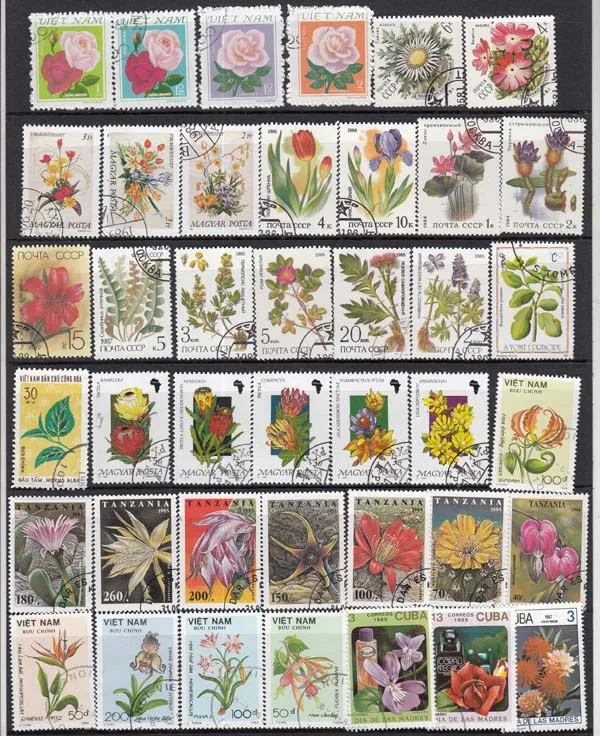 25 шт. случайные цветы все отличаются во многих странах не повторяют