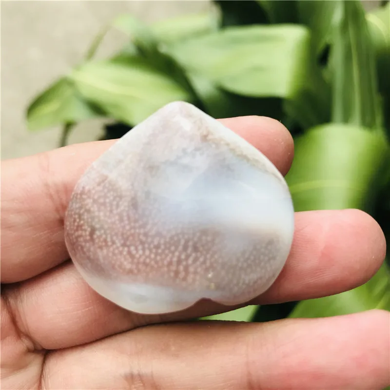 5 шт. натуральные солнечные Раковины Ископаемые образцы Кристалл Любовь Сердце