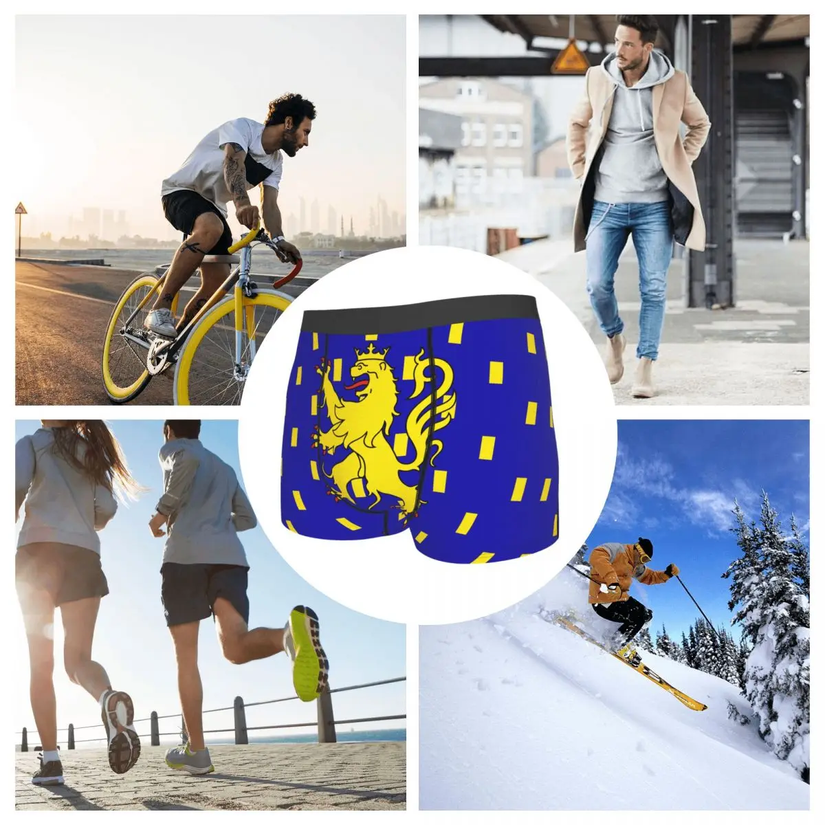 Flag Of Franche-Comté Men's Boxer Briefs Flags of the regions of France Funny Vintage Men's boxer leggings