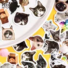 46 шт.кор. стильный Cat удовлетворение бумажные декоративные наклейки