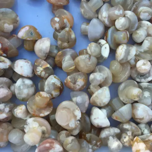 Cristal de seta de cuarzo de &aacute;gata Natural, Cr&aacute;neo tallado a mano, Reiki curativo, 2 uds.-2
