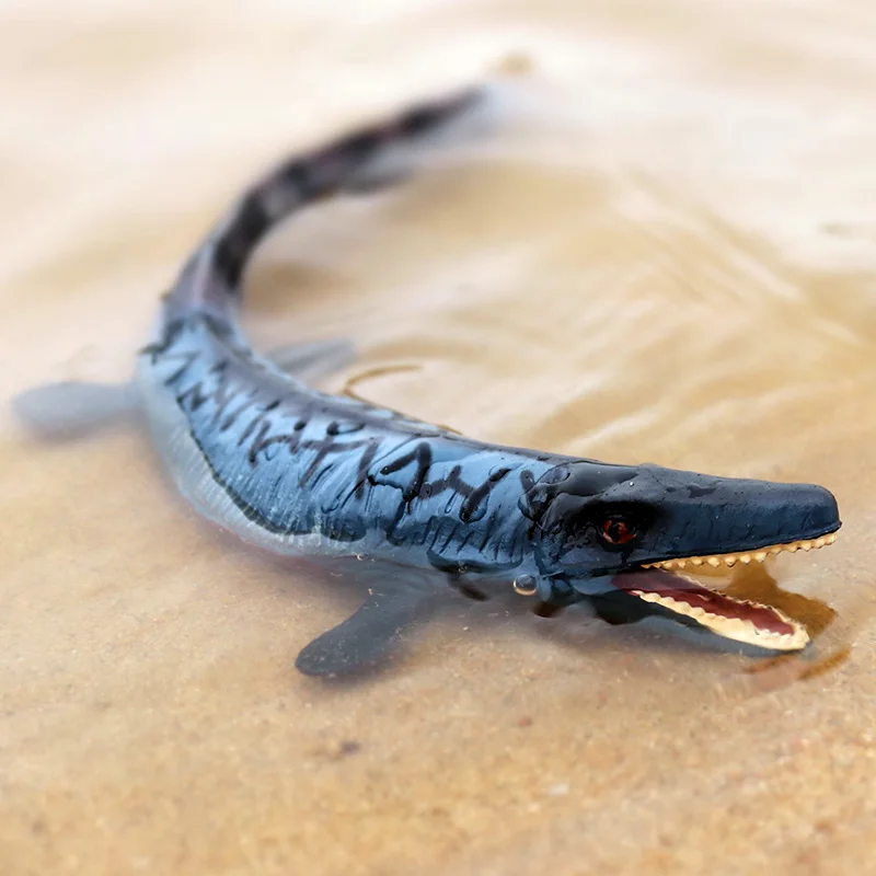 Oenux Prehistoric Sea Life Animal Megalodon Dunkleosteus Terrelli Fish Action Figure Plesiosaurus Dinosaur Model Collection Toy
