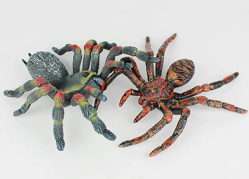 

Маленькая Новая креативная модель паука, пластиковая паук-кукла, подарок xf2763