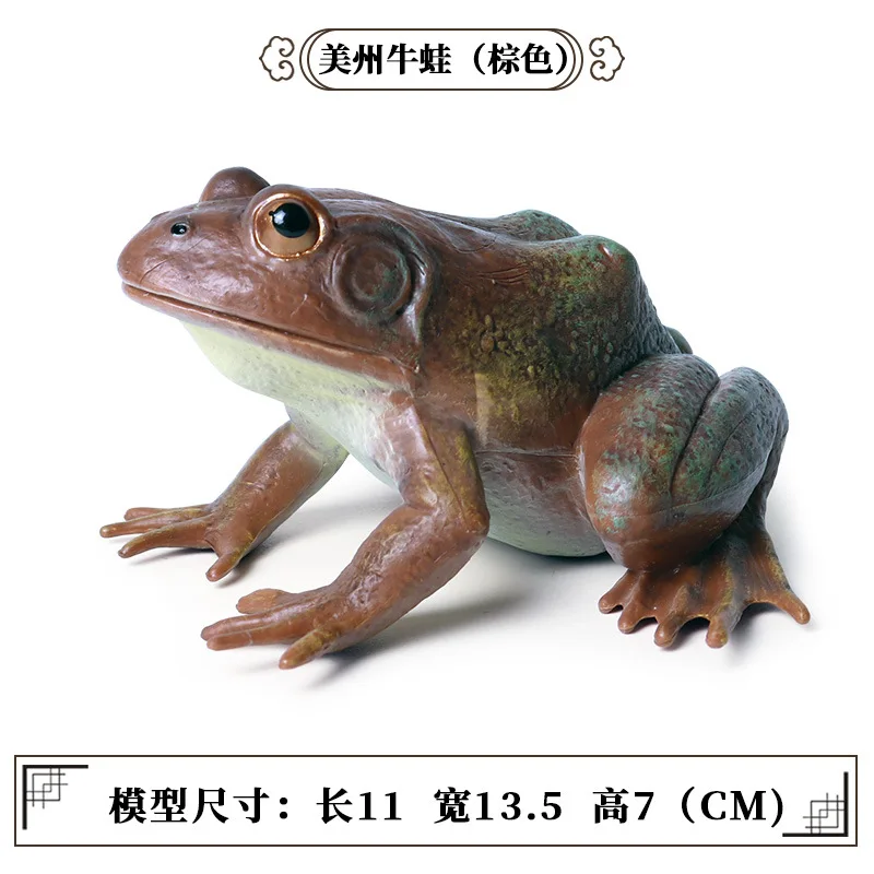 

Oenux 11x13.5x7cm American Bullfrog Simulation Wild Animals Big Frog Action Figures Model Figurine PVC Collection Toys Kids Gift