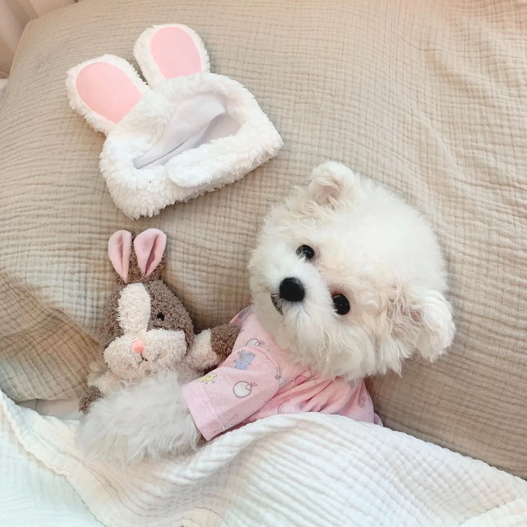 

INS new Korean cute zoo toddler clothing vest cotton dog home service pet air-conditioning clothing