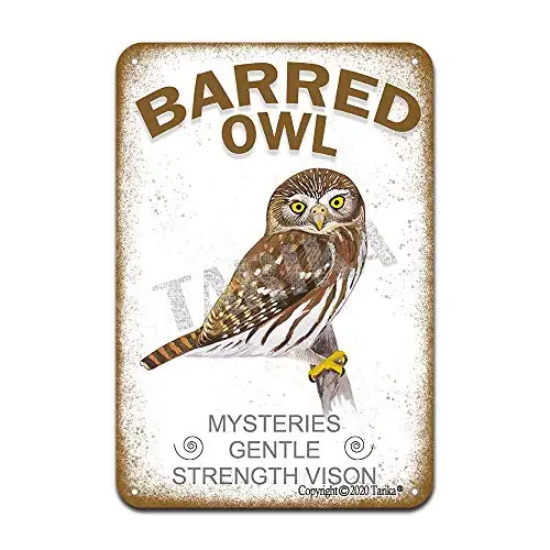 Барред Сова тайны нежная сила нордирование Железный постер картина жестяной