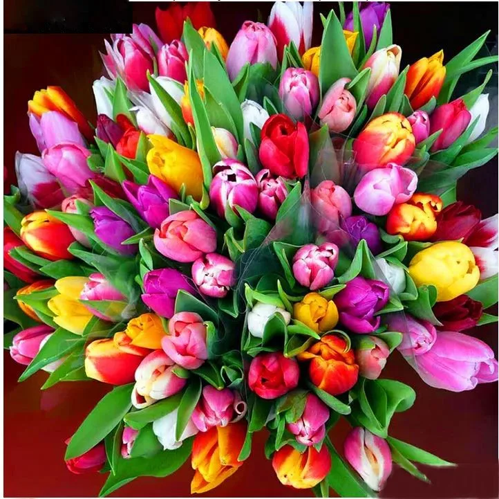 Полноразмерная Алмазная картина 5D сделай сам мультяшная принцесса семейная