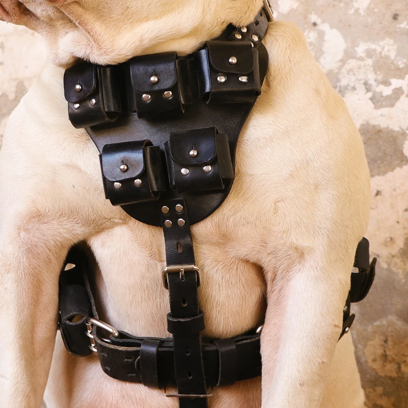 Кожаная шлейка для собак большая силовых тренировок лучшая американских