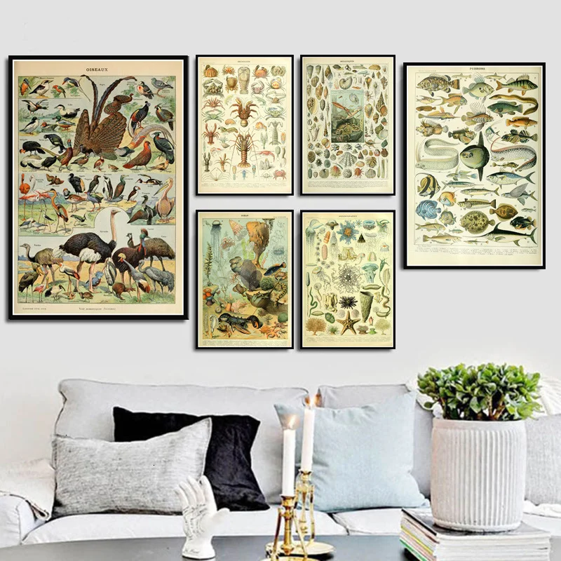 

Ocean Sea Shell Fish Animal Chart Canvas Painting Posters And Prints Pictures On The Wall Nordic Decoration Home Decor Plakat